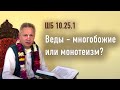 2022-02-06 - ШБ 10.25.1 - Веды - многобожие или монотеизм?