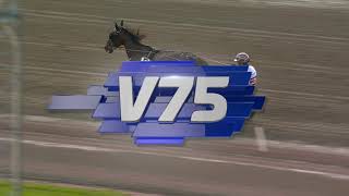 Vidéo de la course PMU PRIX STO-SM SPONSORED BY ZET STALLIONS