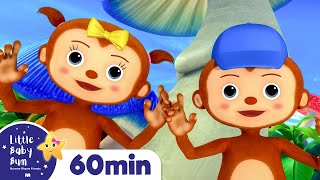 peekaboo song with monkeys more nursery rhymes and kids songs little baby bum