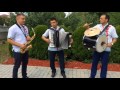 Музиканти Івано Франківська Гурт Якови Ой вербо вербо 