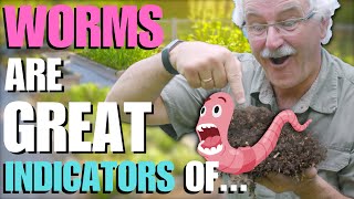 EARTHWORMS in your SOIL are a GREAT INDICATOR OF... by Stefan Sobkowiak - The Permaculture Orchard 12,094 views 8 months ago 6 minutes, 47 seconds