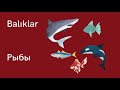 Турецкий язык для начинающих. Рыбы на турецком языке