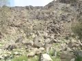 ربيع الساحل بين القنفذه وقلوه
