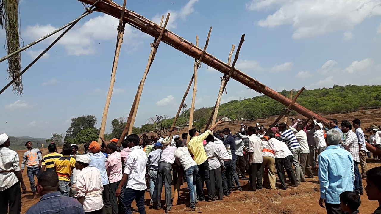 Highest maad in kokan (Kajurli) Holi festival