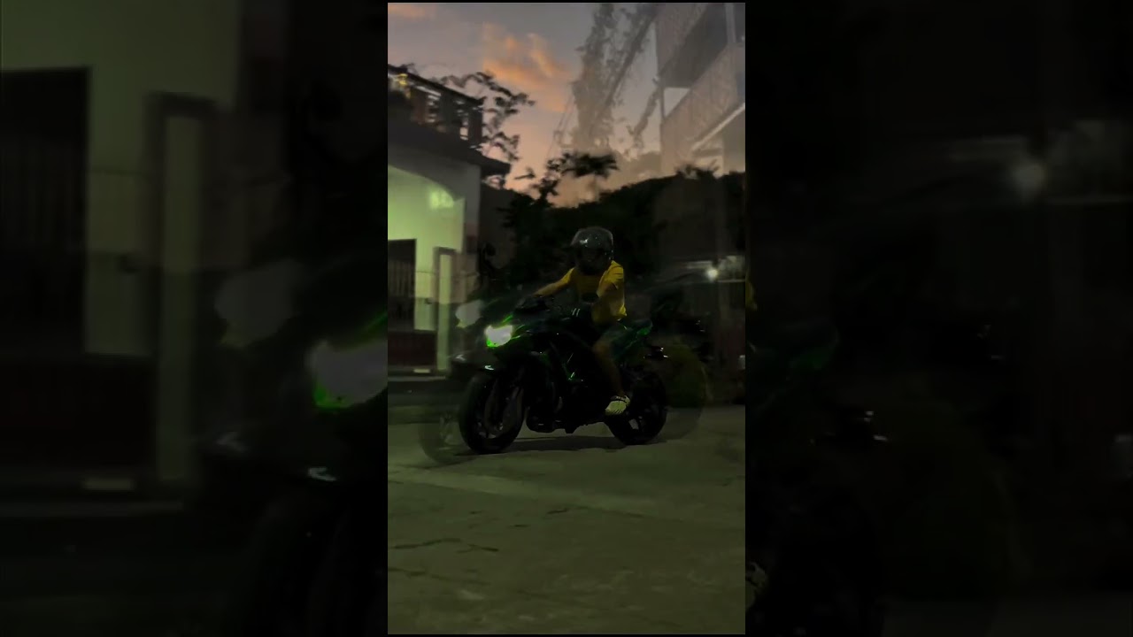 Green Blooded. No Explaination Needed. #z1000r