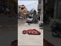 Big Anaconda vs dinosaur T-Rex fight scene#dinosaur​#anaconda​#jurassicworld​#shorts​#youtubeshorts​