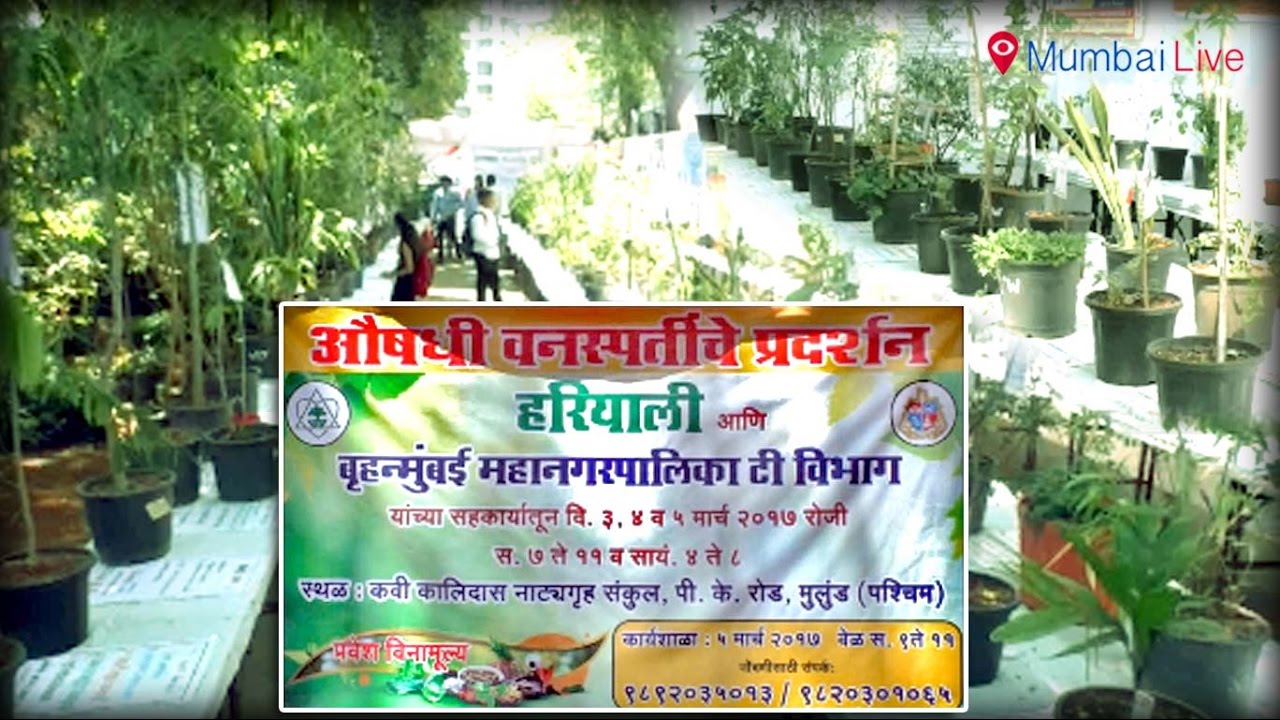 Herbal plants exhibition in Malad Mumbai Live Herbal Plant Power