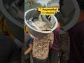 📍Hogenakkal 🐟fish market #viralvideo #shorts #viralshorts #youtubeshorts #fishingvideo #food