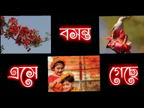 ভিডিও: প্রাণীরা কীভাবে বসন্তকে স্বাগত জানায়