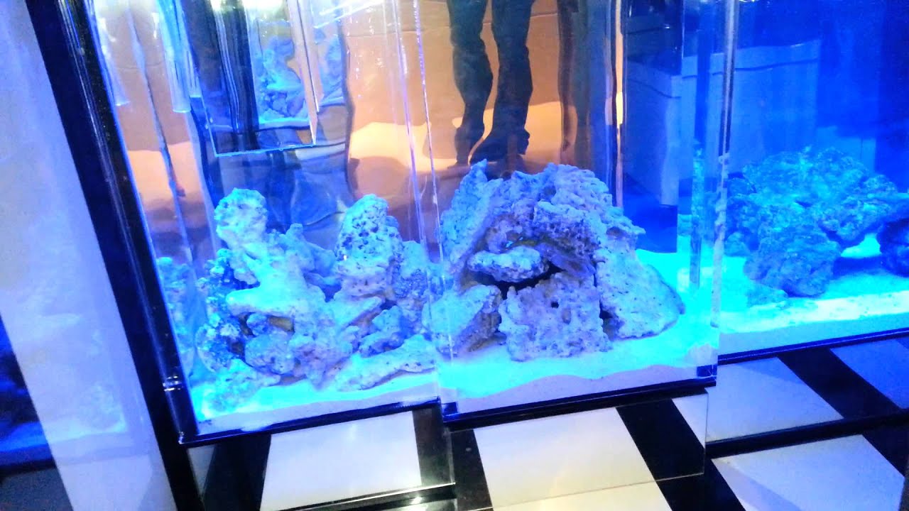 Aquarium Sink One Of A Kind Custom Made Unique Youtube