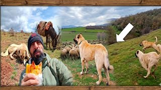 Bunların eline düşenin vay haline.!! Araya aldılar.!! 