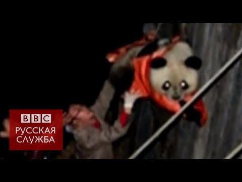 В Китае спасли застрявшую в плотине панду