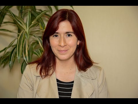 senado reforma da previdencia Diputada Catalina Pérez revisa urgencia de Ley de Polimetales y Consejo COP25