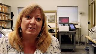 100 Years of Voting PSA Profile