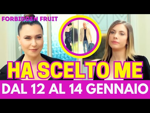 Video FORBIDDEN FRUIT ANTICIPAZIONI: Halit fa una scelta shock e chiede il divorzio a Yildiz ma lei...