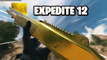 Expedite 12 Gold Camo Guide | Best Class and ALL Challenges | MW2 Mastery Camo