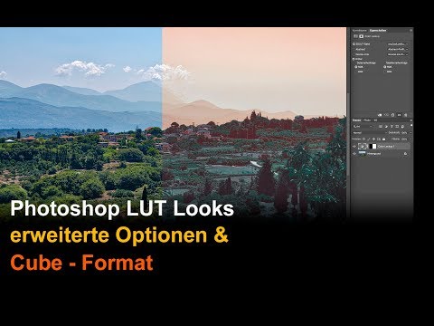 Photoshop LUT Looks: erweiterte Optionen & CUBE - Format