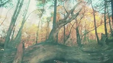 The Code - Dealt Hand ft. Kiel Williams