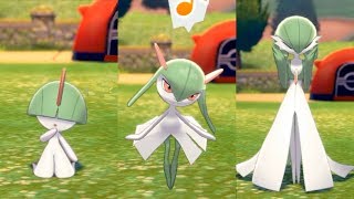 Pokémon Sword & Shield - Gardevoirs Cute Scenes