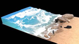 Bifrost ocean Wealth
