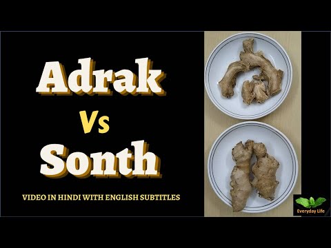 Adrak Vs Sonth | Ginger Vs Dry Ginger| अदरक और सौंठ में अंतर  |