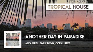 Alex Grey, Emily Dawn, Coral Reef - Another Day In Paradise