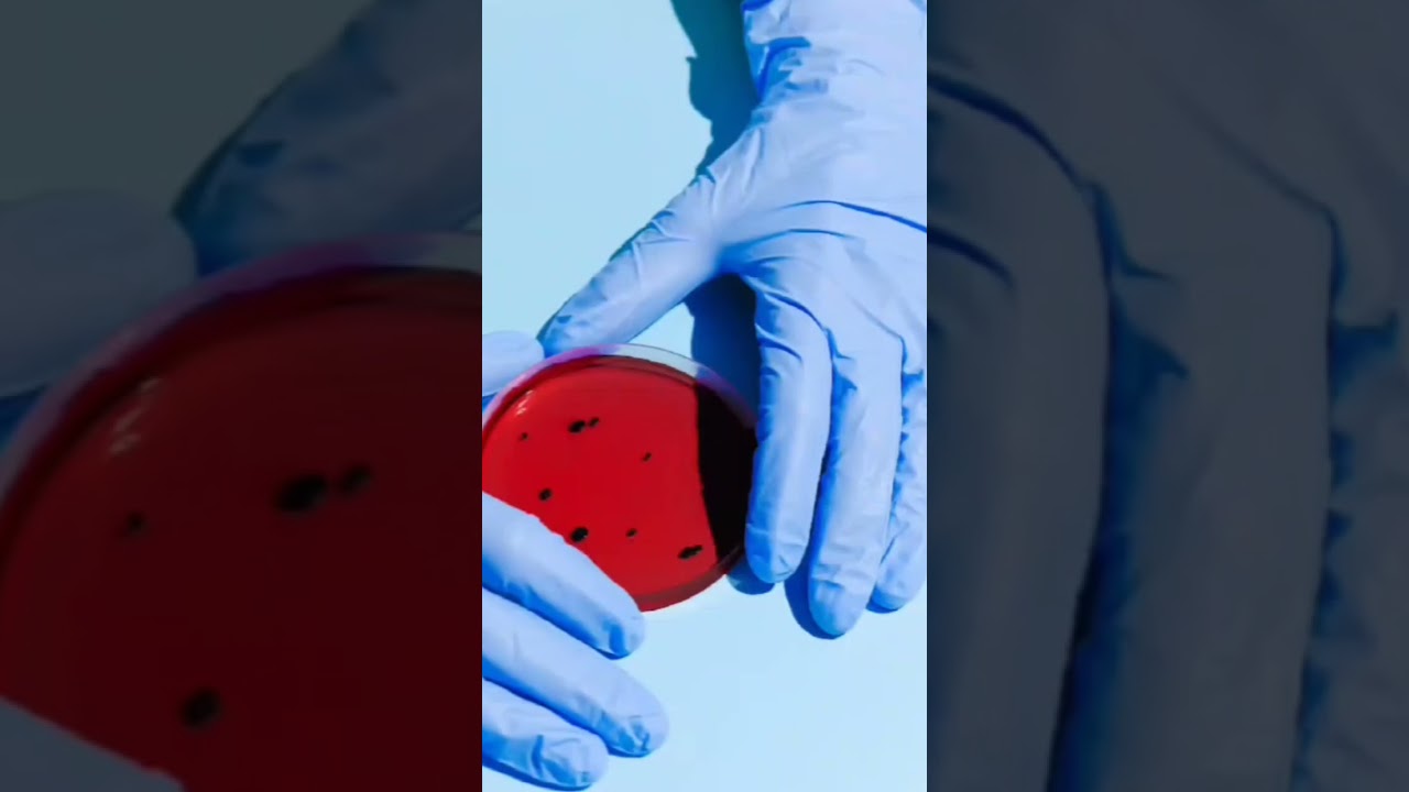 Biology lover status 