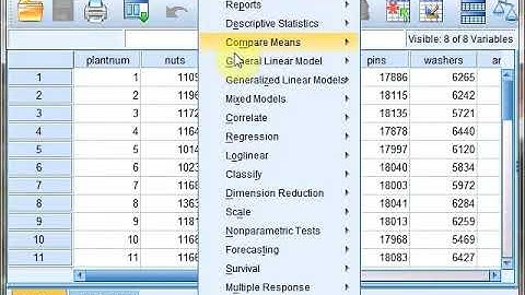 Confidence Interval in SPSS