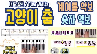고양이 춤 (일반 악보+계이름 악보) - 미상
