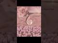 Pink Diamond Guide: Color Origin &amp; What Makes It Rare
