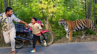 tiger attack man in the forest | tiger attack in jungle royal bengal tiger attack by Crazy Life Entertainment 108,331 views 4 months ago 9 minutes, 1 second