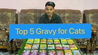 Top 5 Gravy/Jelly for Persian Cats and Kittens | #cat #catlover #catfood by The Cat house  481 views 1 year ago 4 minutes, 32 seconds