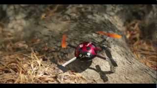 Walkera Ladybird Quadcopter Review