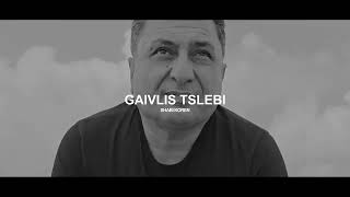 SHABI KOREN 'GAIVLIS TSLEBI'