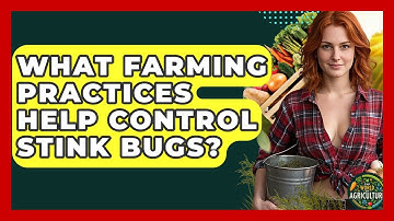 What Farming Practices Help Control Stink Bugs? | The World of Agriculture