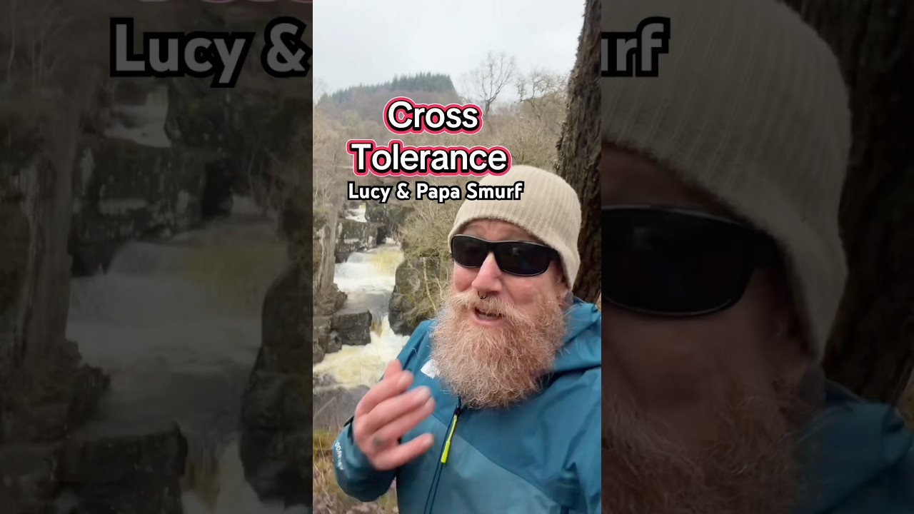 Перекрестная толерантность