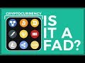 Is Cryptocurrency A Fad? | RBM Excerpt