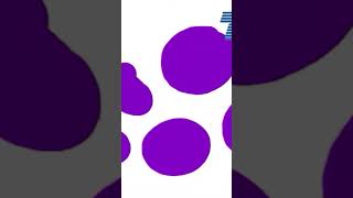 NTV7 ident (Mei 2020-July 2025)
