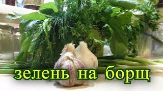 Заготовки. Зелень на борщ. Заготовки. Зелень на борщ.