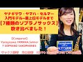 【compared】7種類のソプラノサックス比較試奏yanagisawa /yamaha/selmer/【soprano sax】