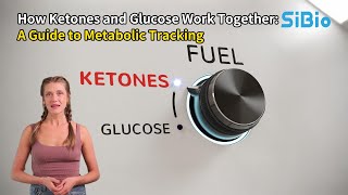 10. How Ketones and Glucose Work Together: A Guide to Metabolic Tracking