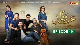 Ehd e Wafa Episode 01 | Pashto Drama Serial | HUM Pashto 1 screenshot 1