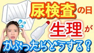 【学校】生理だと尿検査は引っかかるのか？実際に再検査を体験した過去！被った時の対処法３つ！※生理中の尿には〇〇が含まれているらしい！