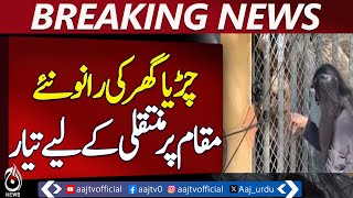 Karachi Zoo’s Rhino Rano Ready for Transfer to Islamabad - Aaj News Breaking Karachi Zoo’s Rhino Rano Ready for Transfer to Islamabad - Aaj News Breaking