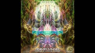 TRUNIVERSAL & SEEDED VISION & SUPERTASK - Reflection