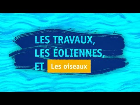 Les oiseaux et les travaux du parc éolien en mer de Saint-Nazaire - video from EDF Renewable