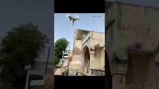 Devyani Sarowar Sambhar Lake....bajrangi