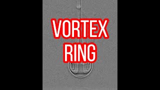 Water vortex ring ejected from a tube | Schlieren Visualization | Luftvis