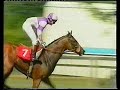 1991 july cup polish patriot inc post race replay