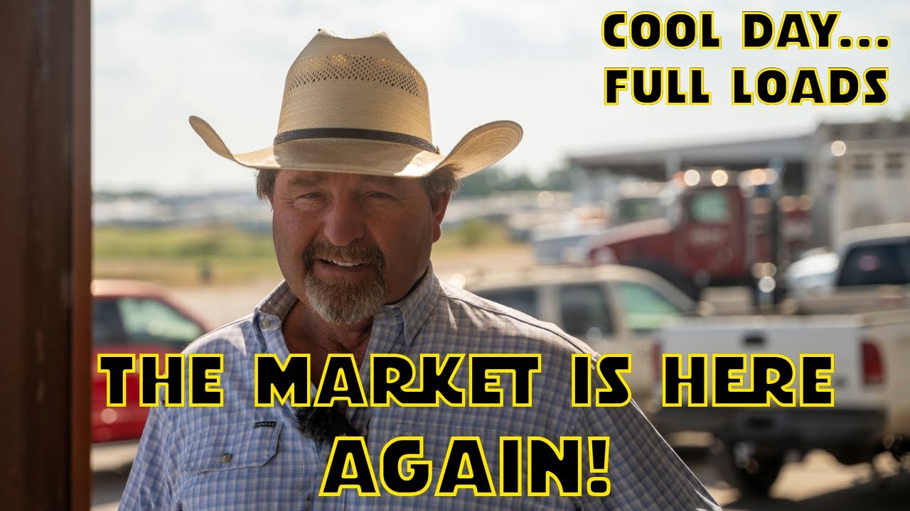 The ones that brought them...